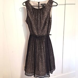 Jessica Howard Black and Beige Polka Dot Midi Dress Size 10 Very Good Condition